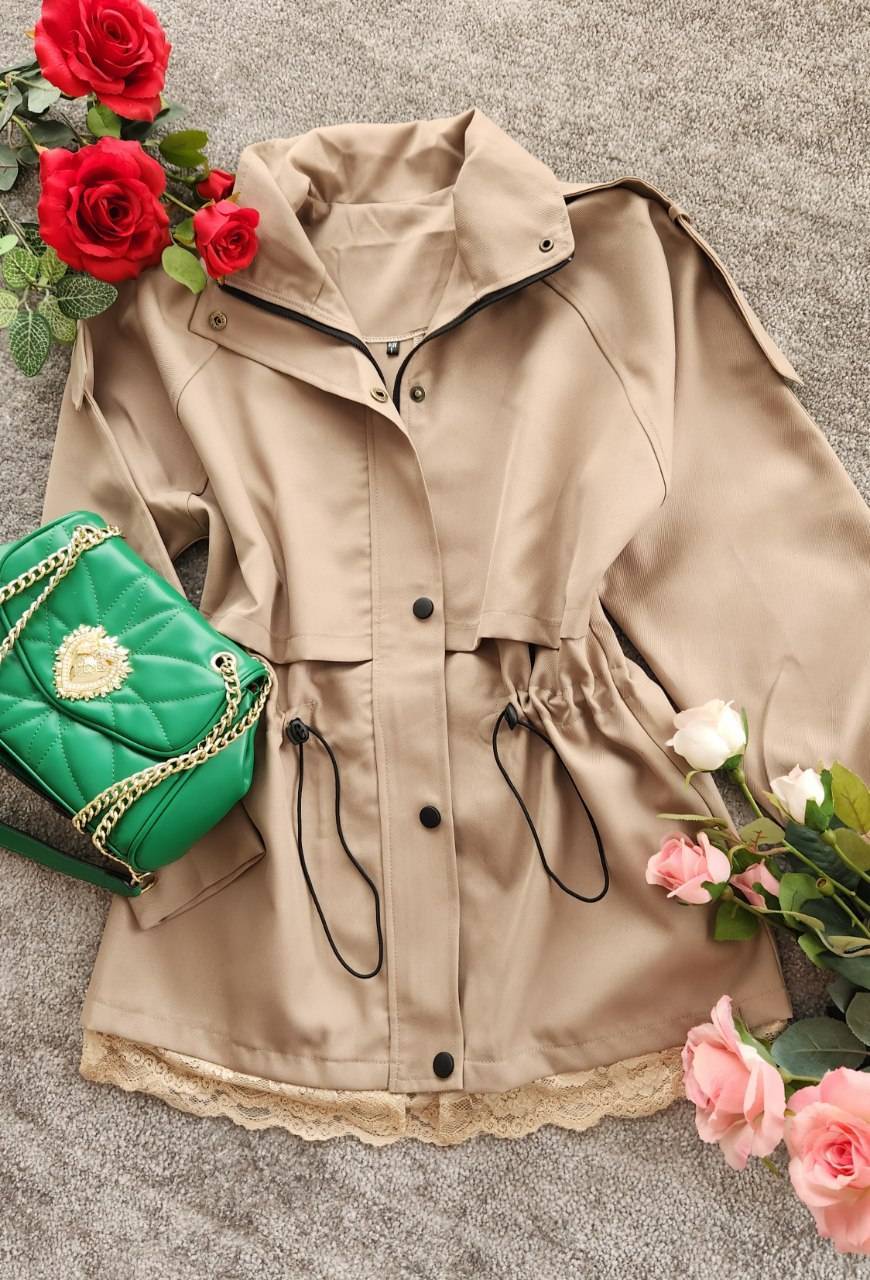 بارونی پرستو