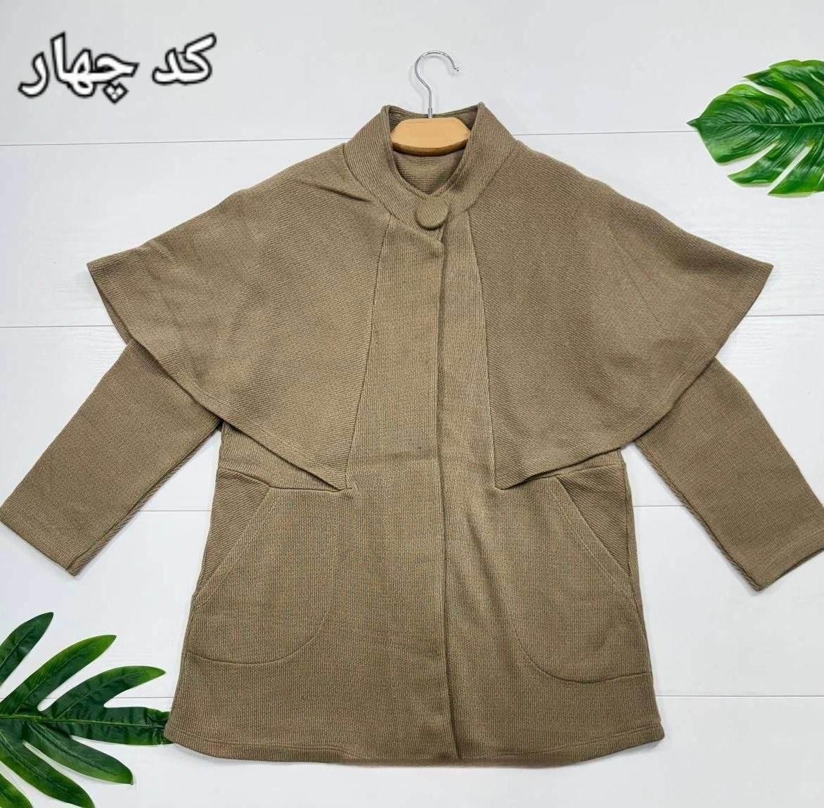 پالتو ونیز
