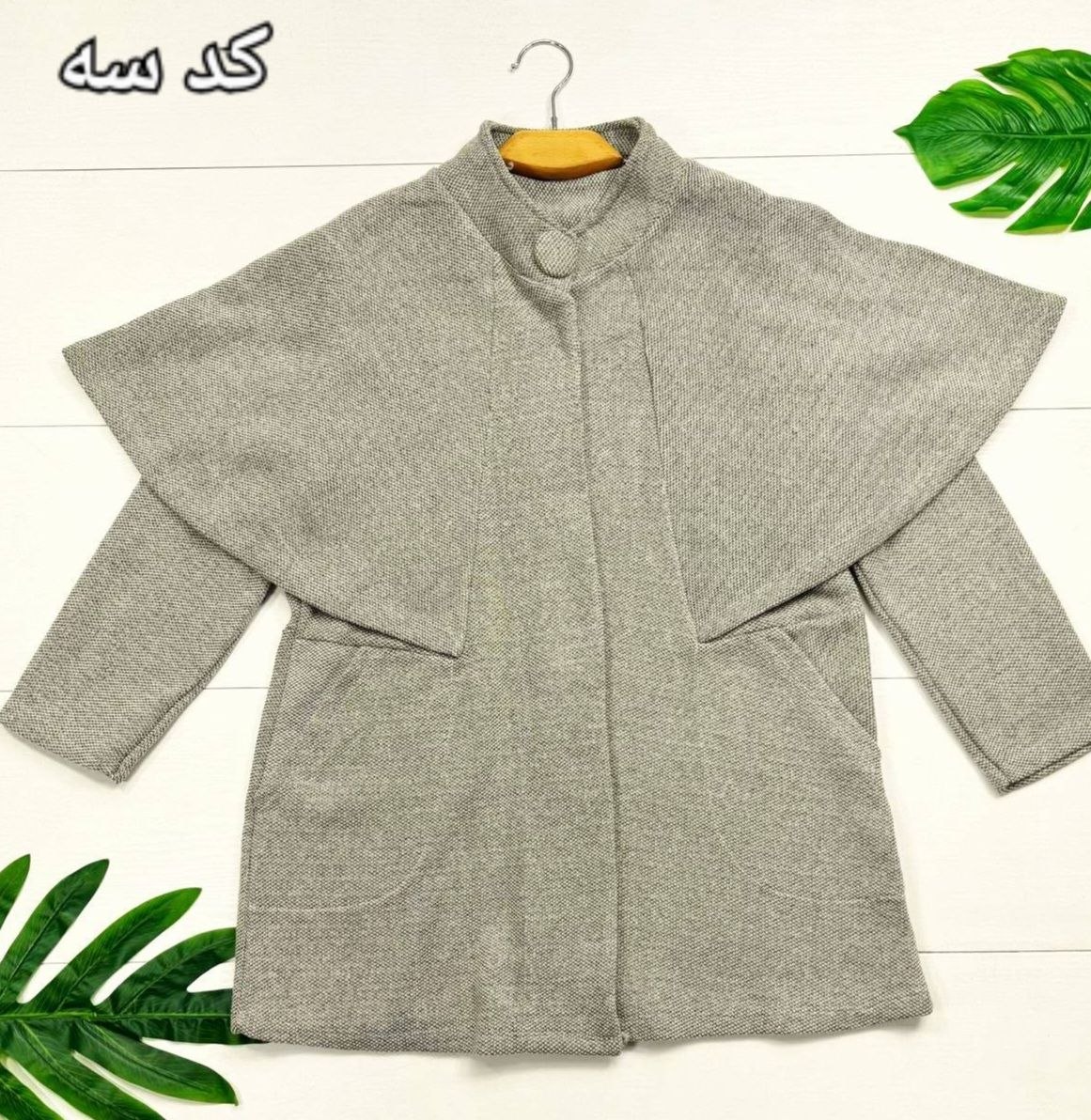 پالتو ونیز