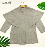 پالتو ونیز
