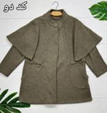 پالتو ونیز