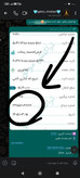 شومیز نگین دار