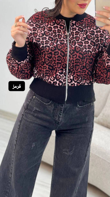 بامبردیانا